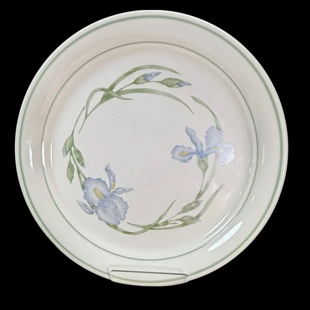 Corelle Cornerstone‎ IRIS Dinner Plates 10 1/4